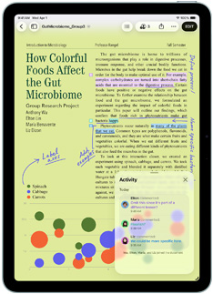 Pages App auf einem iPad Air